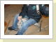Klicken Sie auf das Bild, um es zu vergrößern